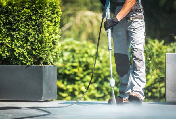 Best Animal Enclosure Cleaning  in Laverne, OK